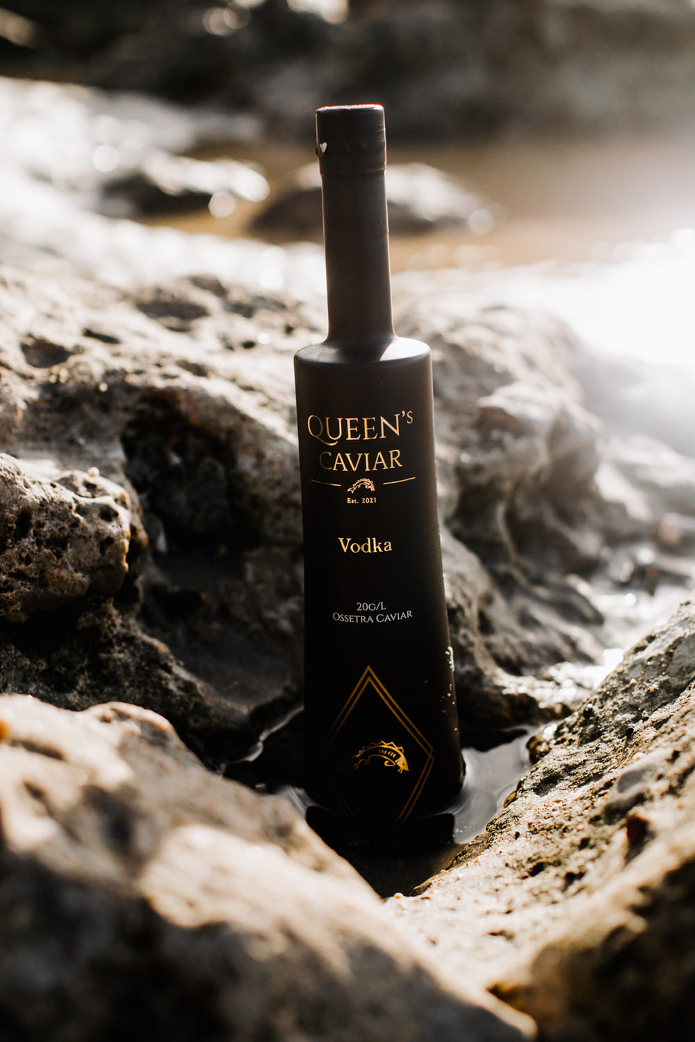 Vodka au caviar de la Reine 70 cl